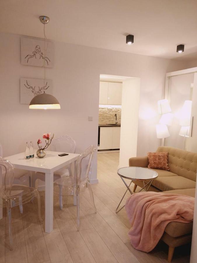 Apartament 100 Apartamenty No 1 Ogrod W Centrum Szczecin Kültér fotó